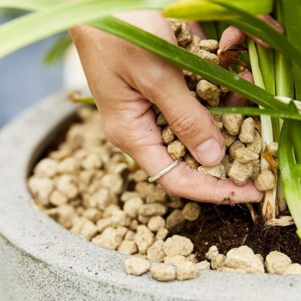 Technician installing Vulkastrat substrate into a commercial indoor planter